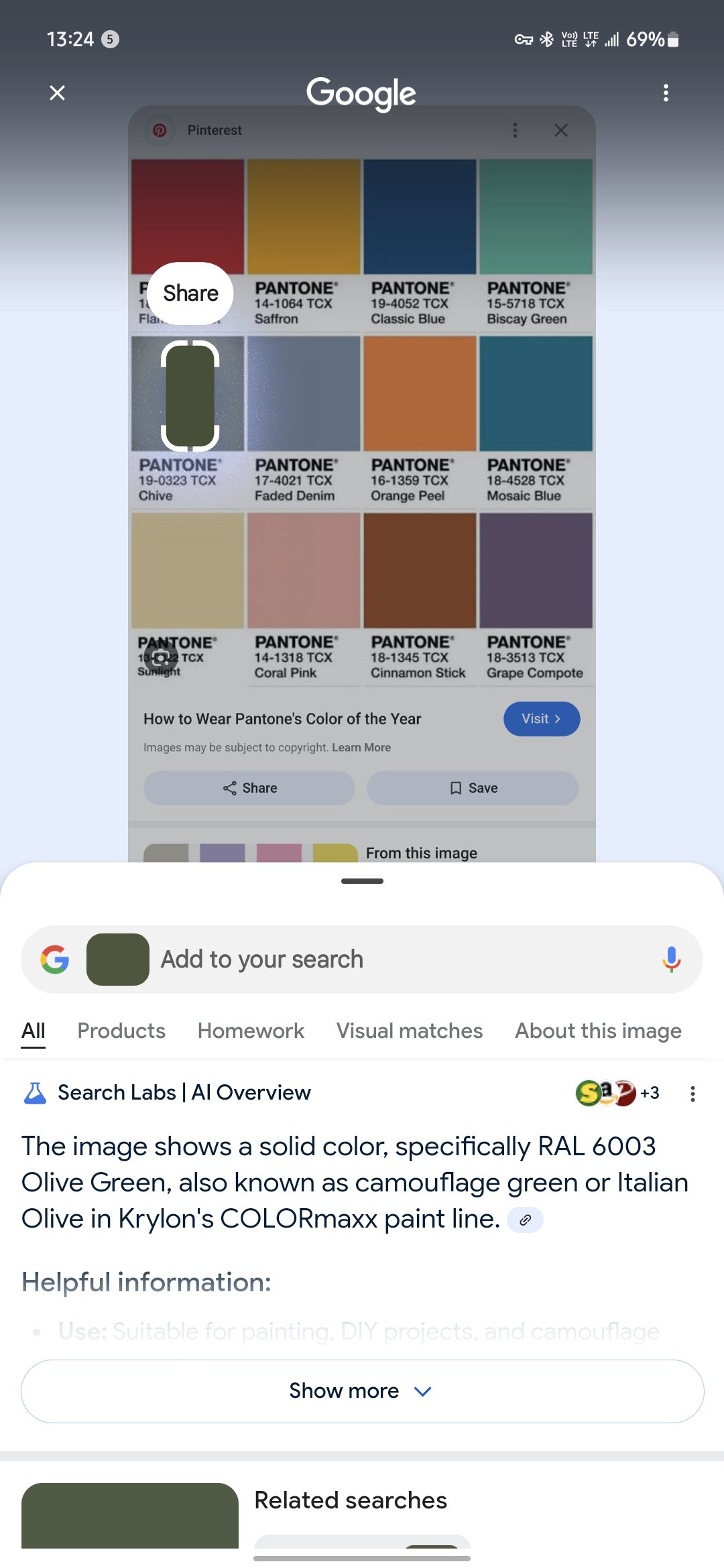 Círculo para pesquisar o teste Pantone 2