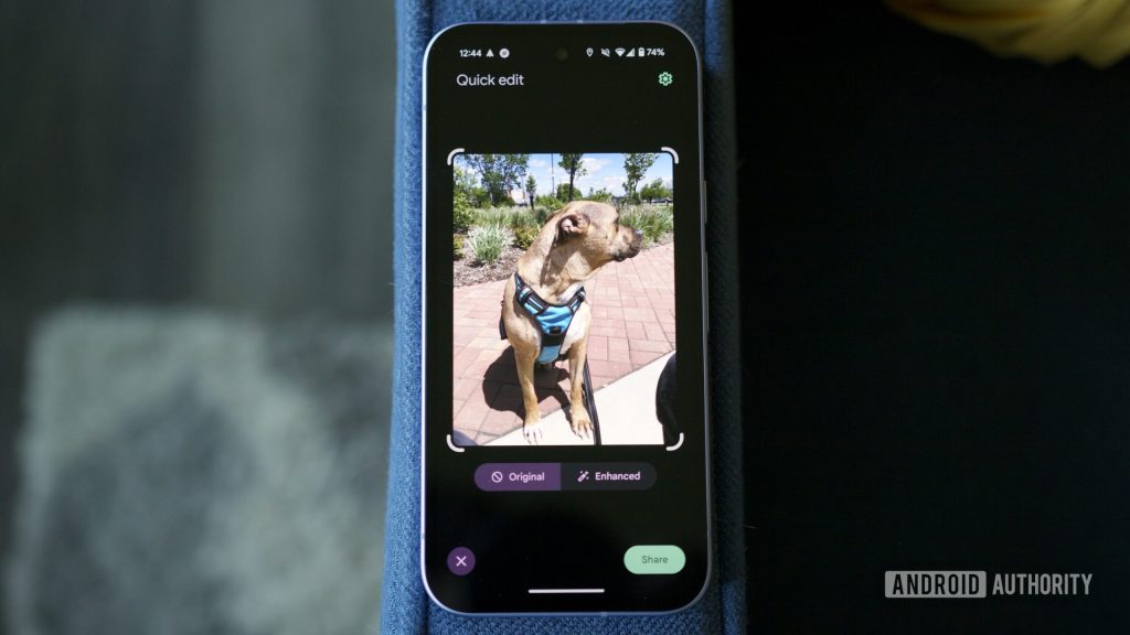 O Google Fotos faz 10 anos com um editor aprimorado e um compartilhamento mais fácil de compartilhamento Android Authority
