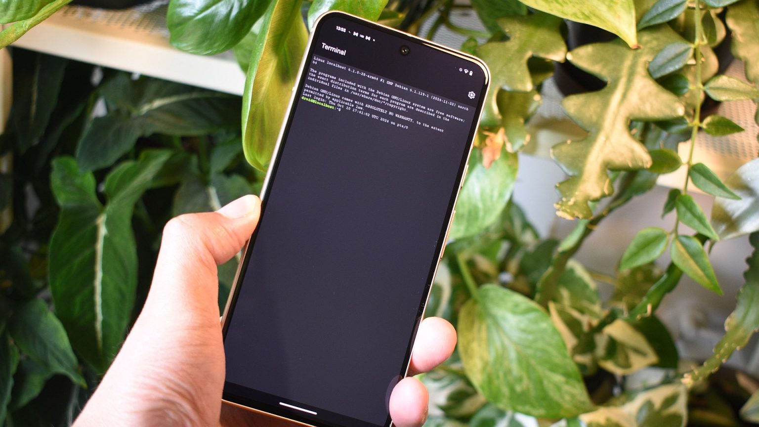 Eu ativei o terminal Linux no meu pixel, e você também deveria