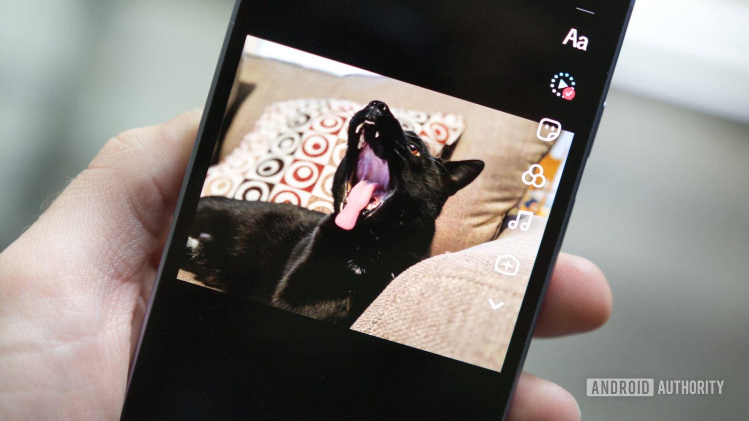 Eu usei a nova ferramenta de fotos da AI de Tiktok e agora meu gato tem duas cabeças