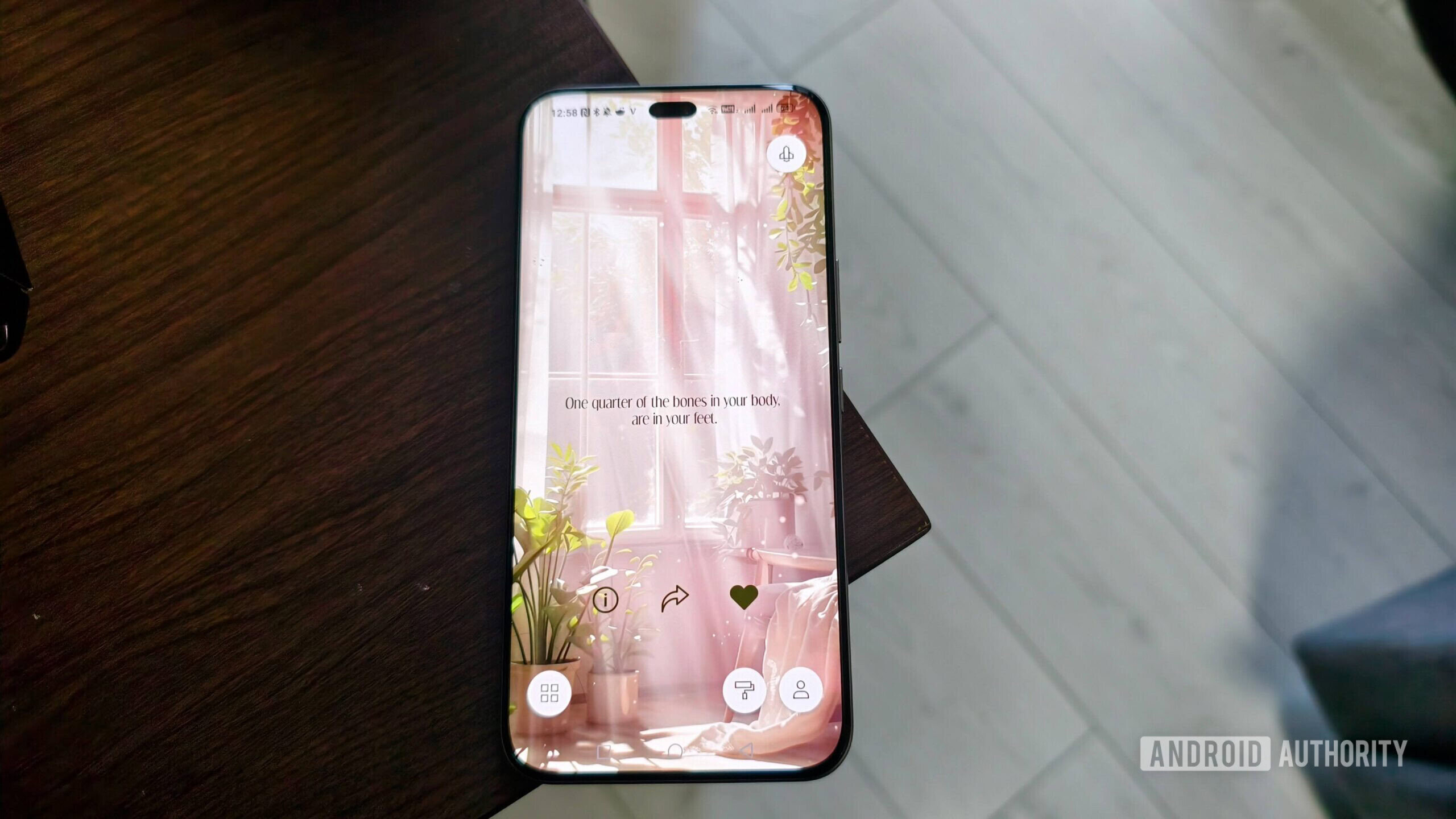 o aplicativo de fatos em um smartphone