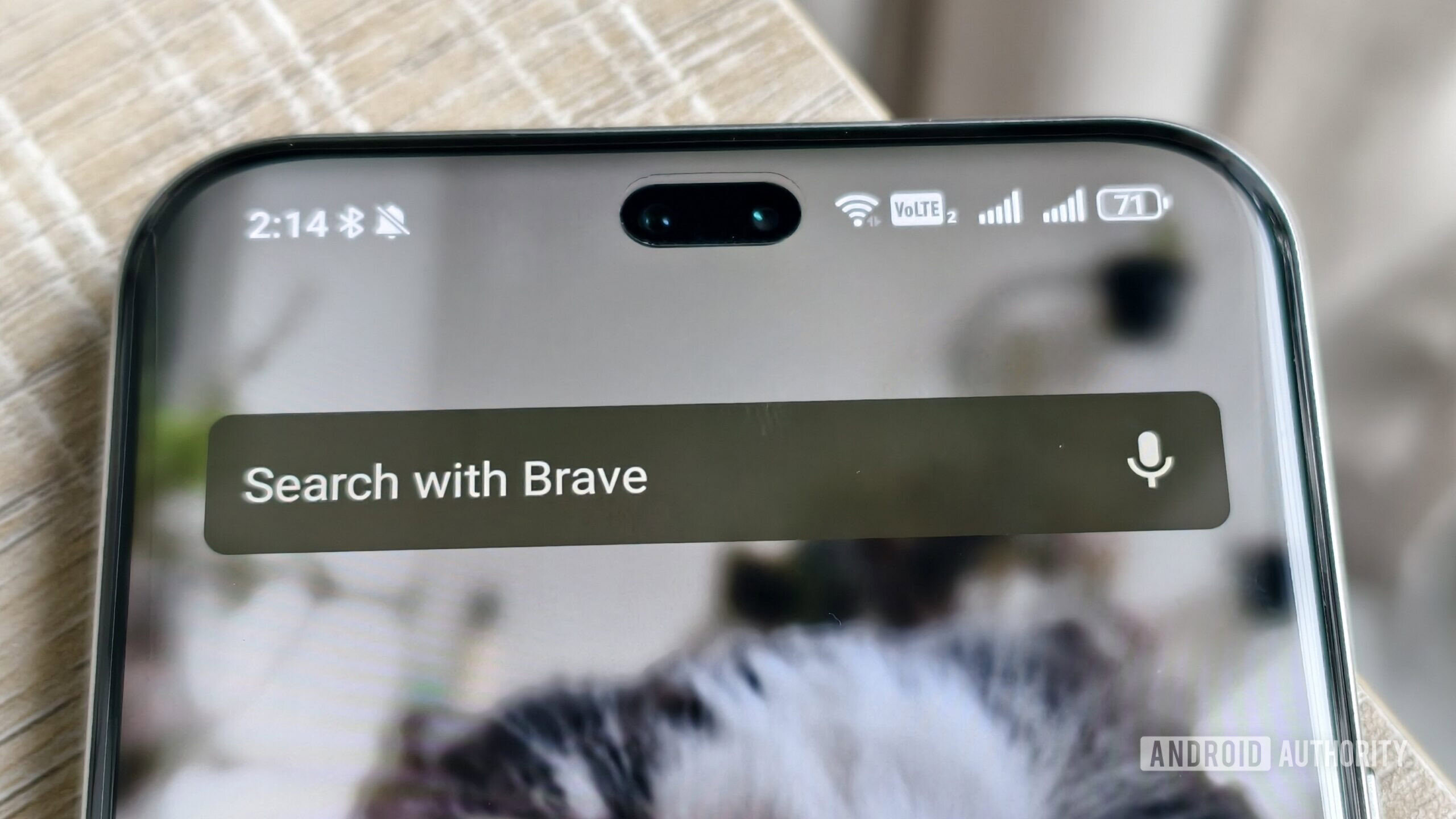 o corajoso widget de pesquisa na tela inicial de um smartphone