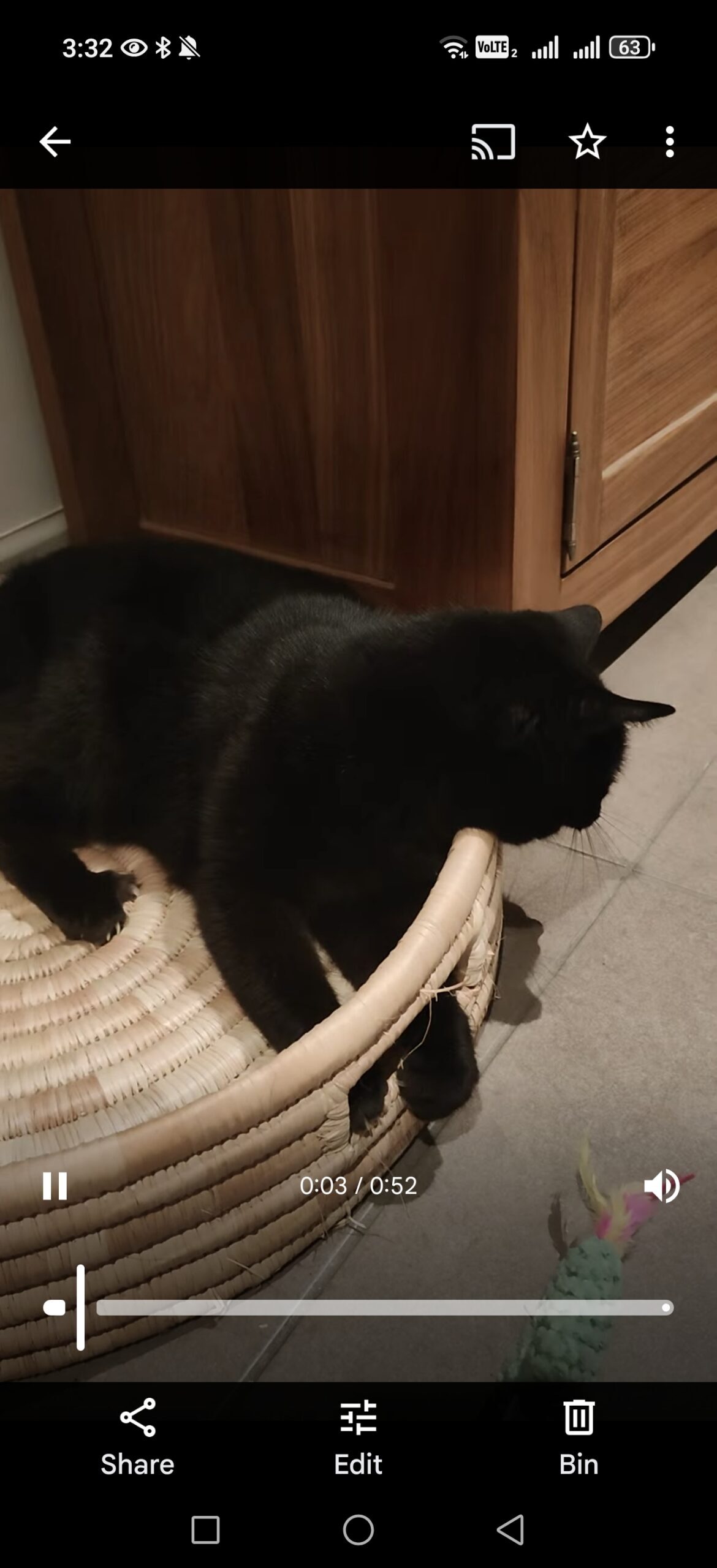 Vídeo de gato com nova interface de vídeo do Google Photos