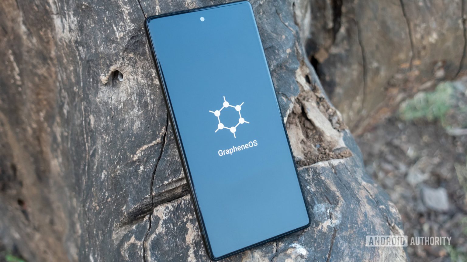 Veja por que o Pixel 10 pode ser o último Pixel verdadeiramente amigo da privacidade