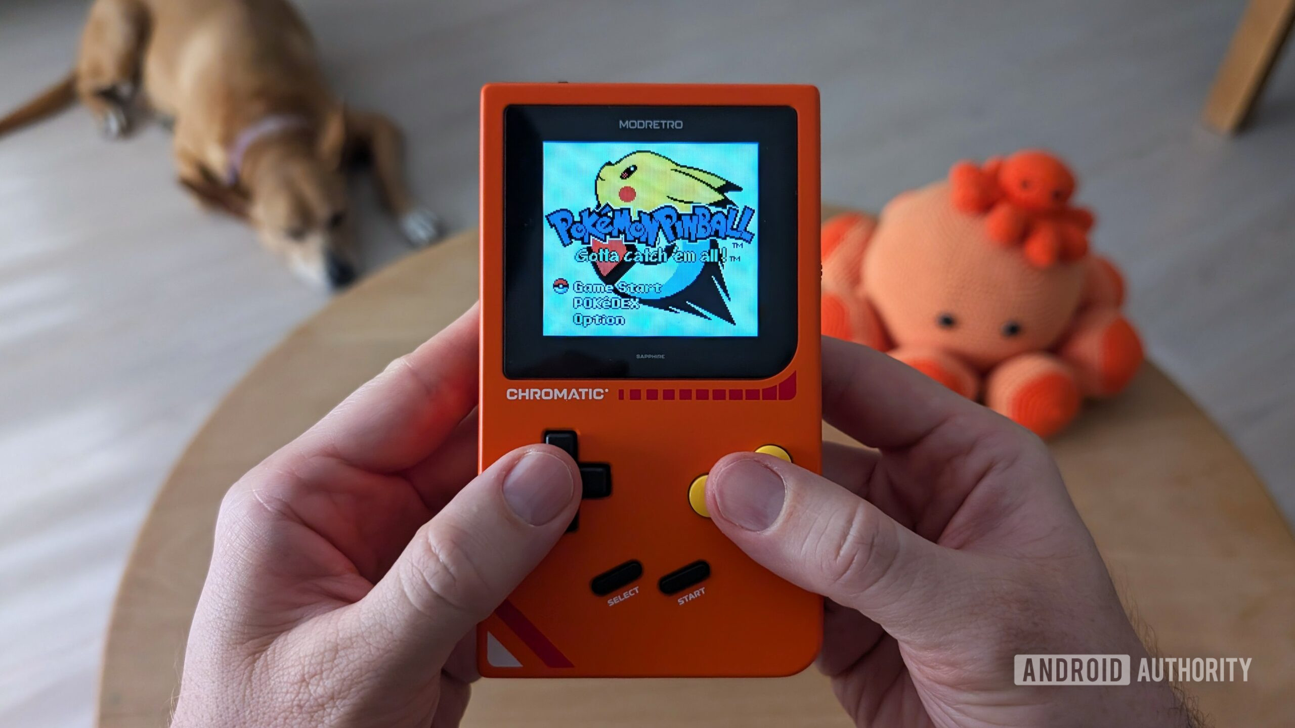 Modretro cromático nas mãos Pokemon Pinball Modretro cromático nas mãos Pokemon Pinball