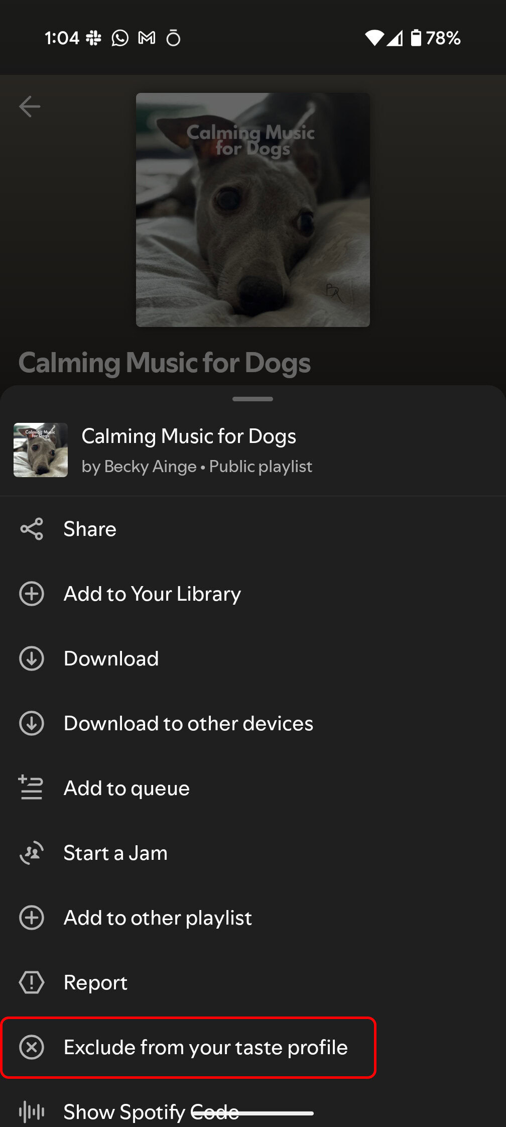 Spotify exclui do Profile do paladar