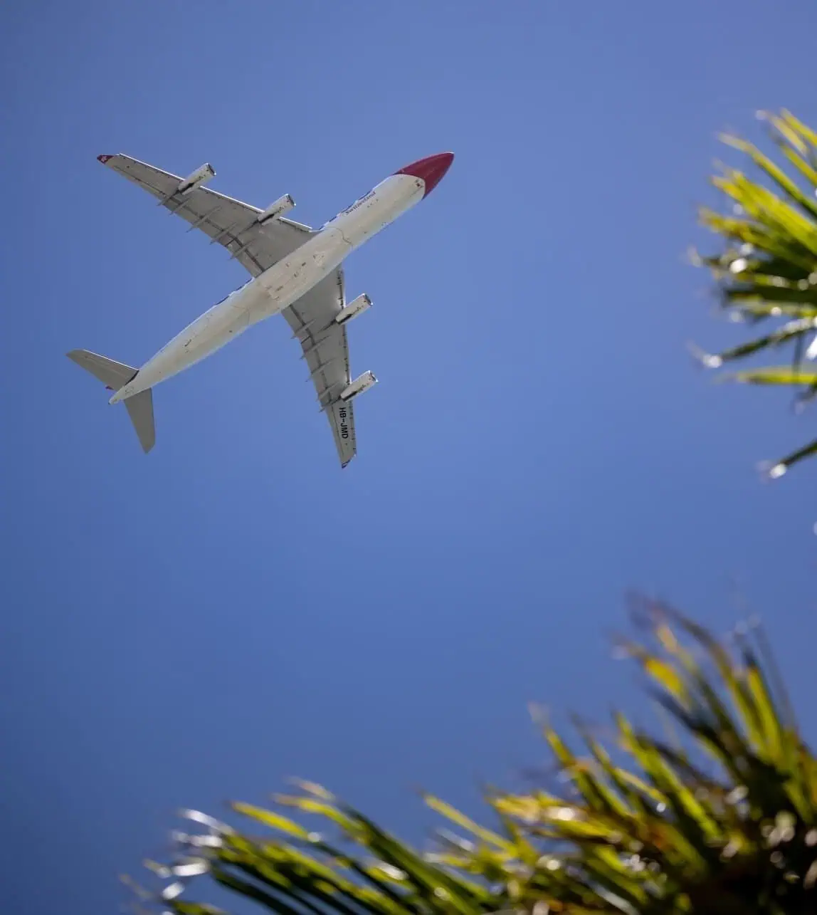 - Quando reservar voos, hotéis e mais: seu guia completo de planejamento de viagens Aeronaves saindo com palmeiras.
