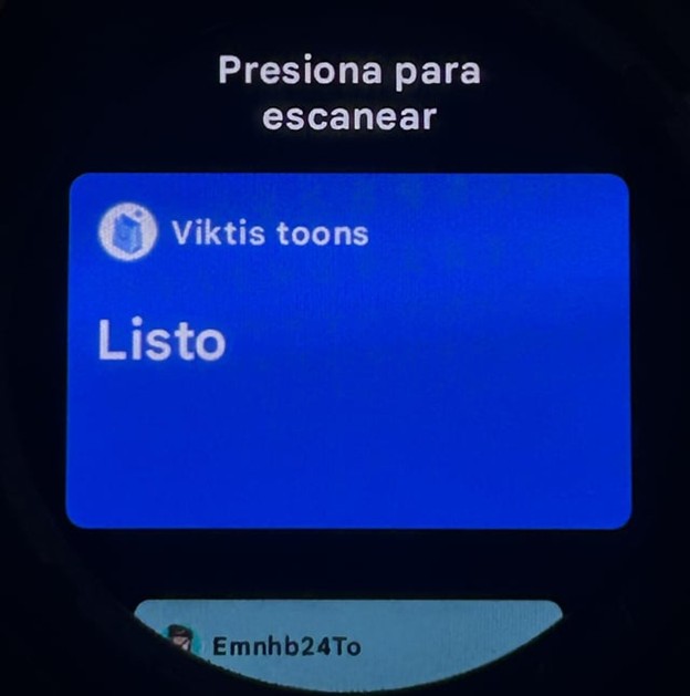 Google Wallet Passes Wear OS Reddit 1
