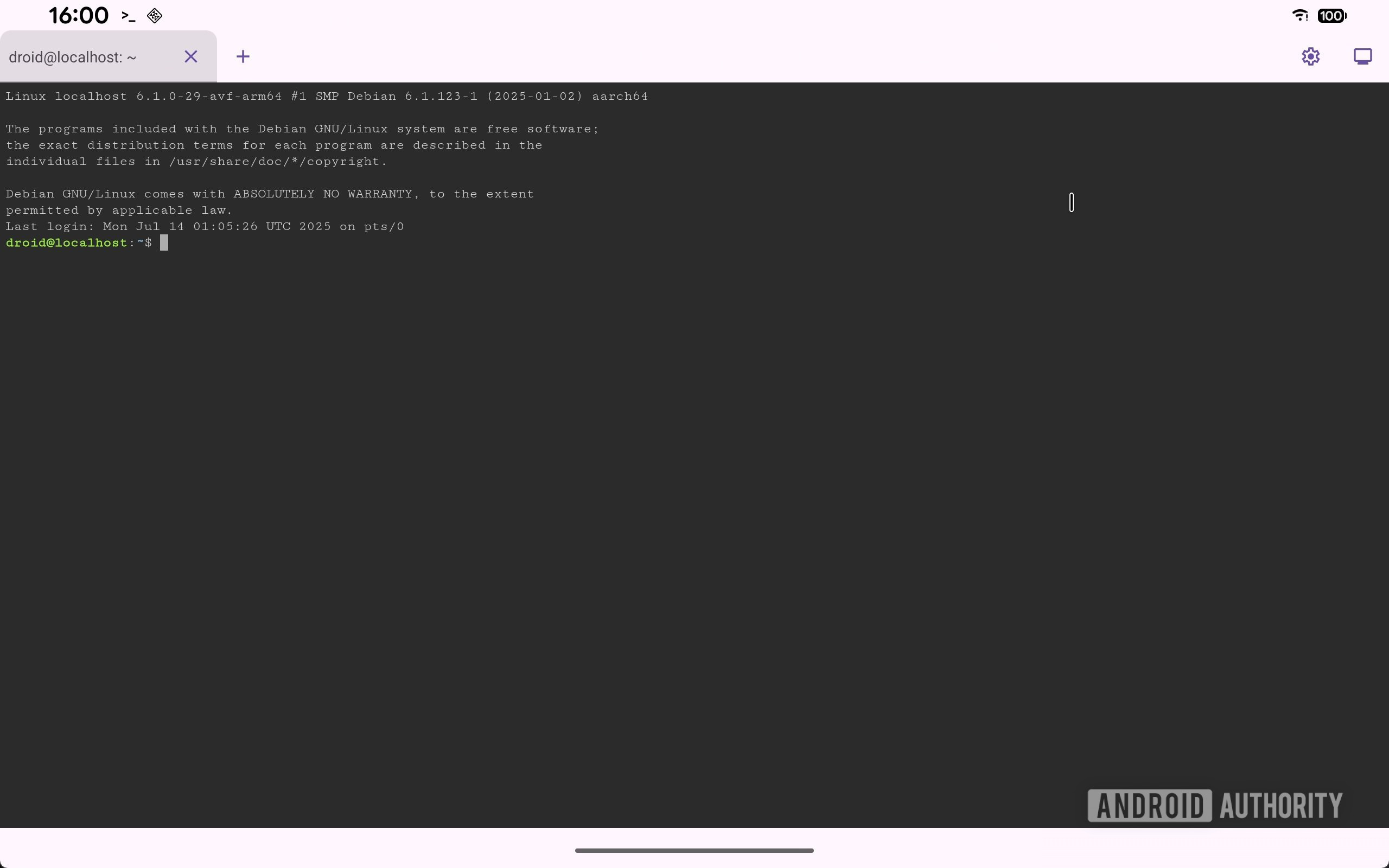 App Linux Terminal em julho de 2025 Android Canary Build