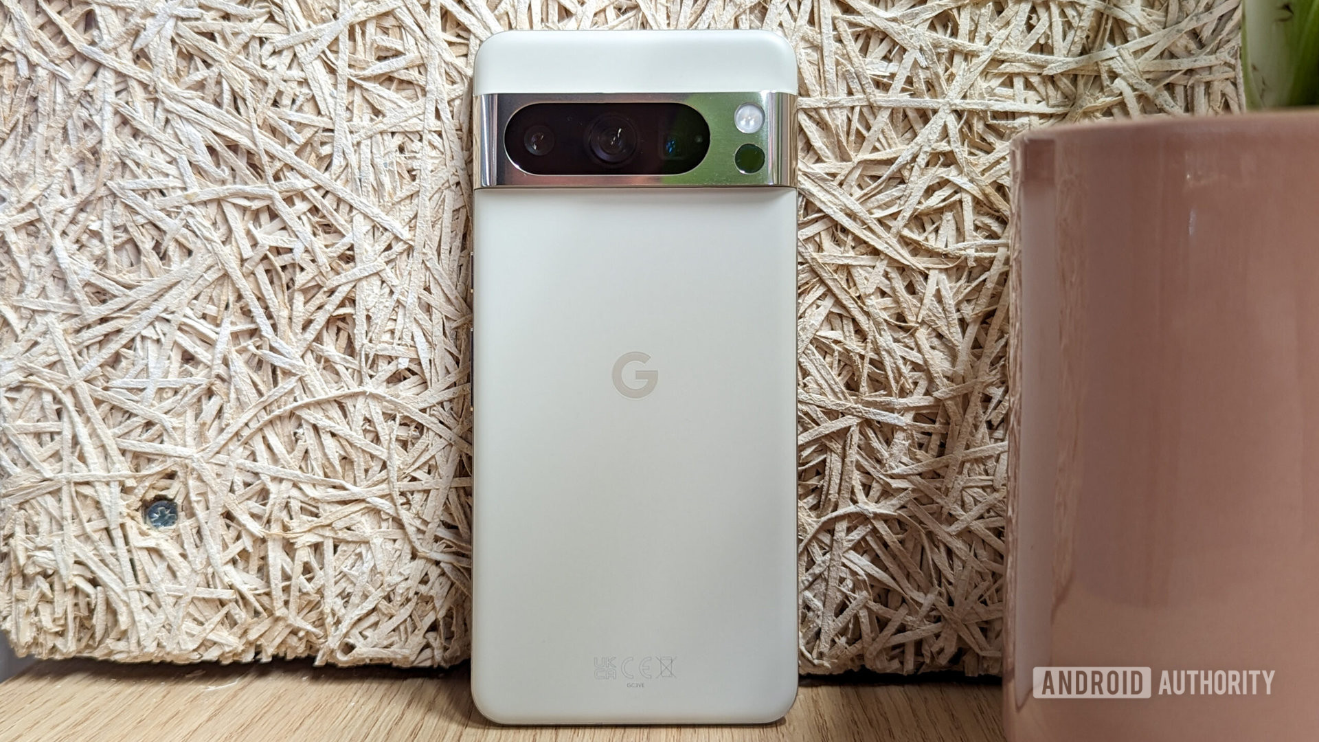 Google Pixel 8 Pro traseira porcelana 1