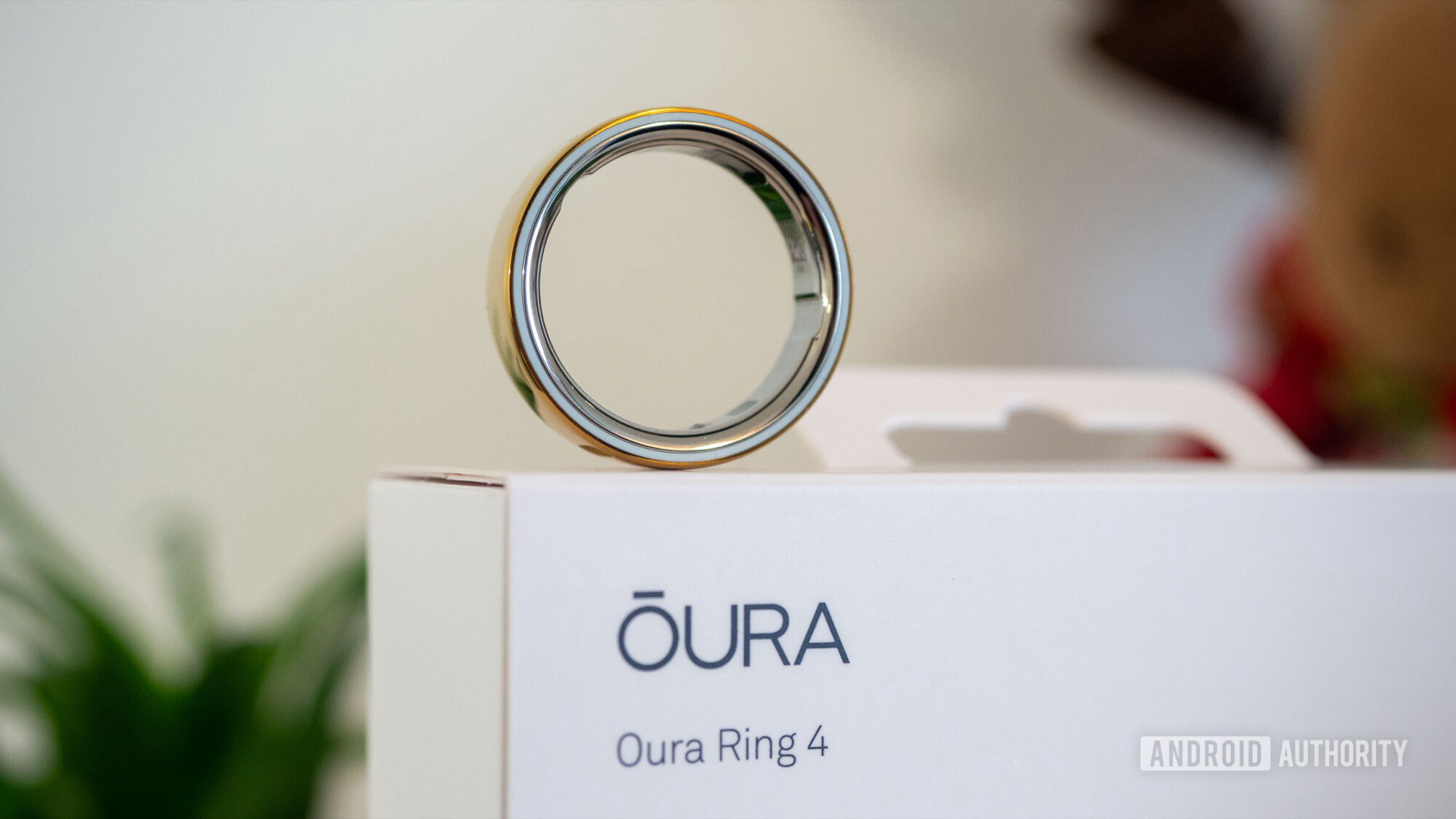 OURA ANEL 4 E CAIXA 2 OURA ANEL 4 E CAIXA 2