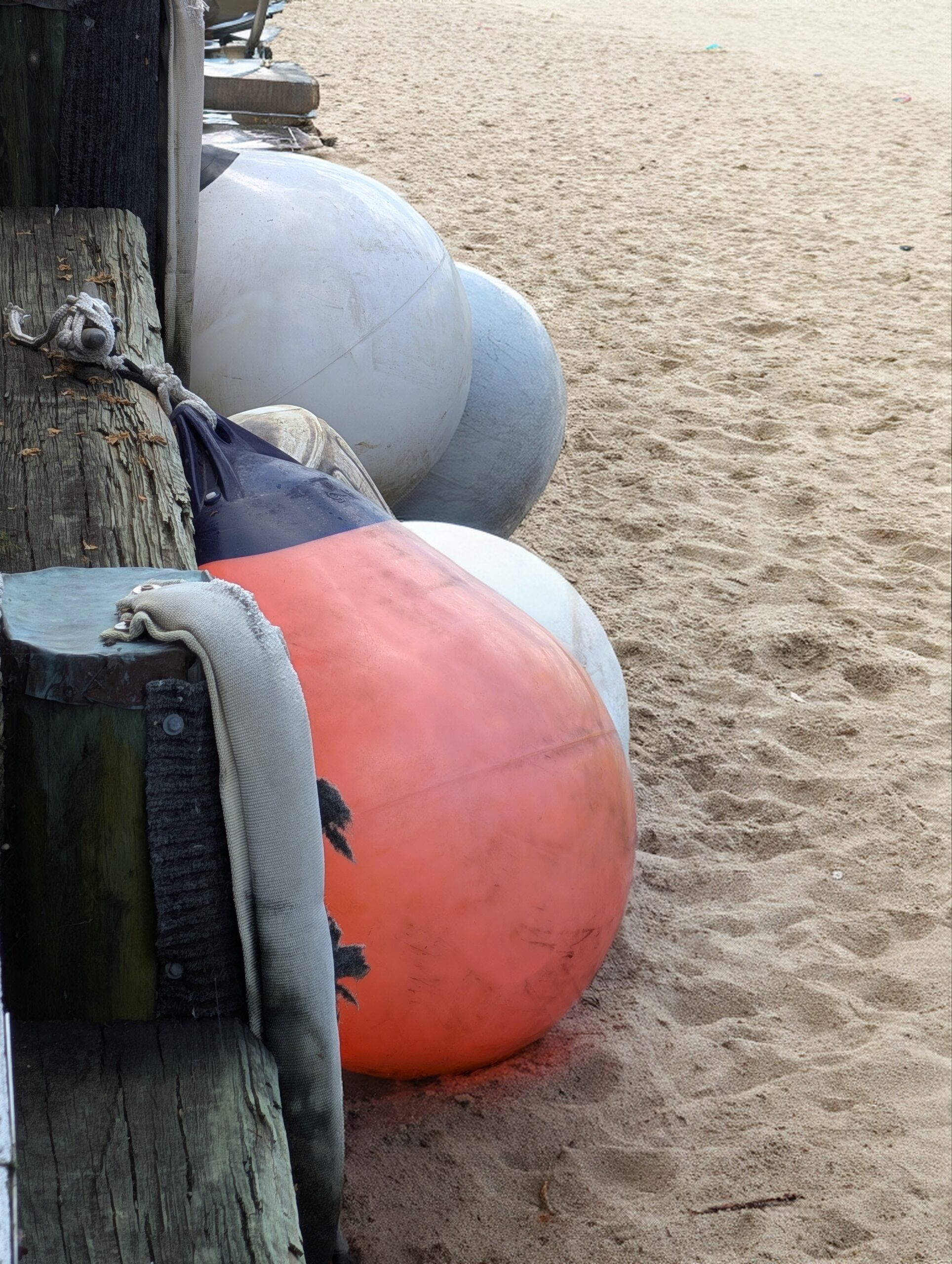 Google Pixel 10 Pro XL Ask Fotos Substitua a água com areia