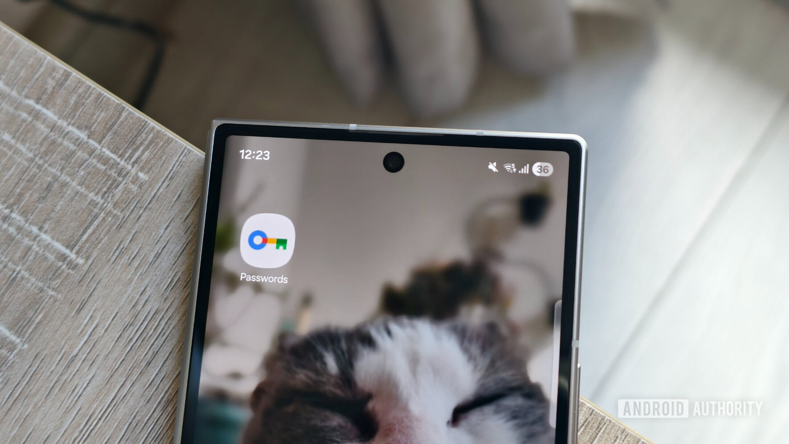 Aplicativo do Google Password Manager em uma tela inicial de um smartphone
