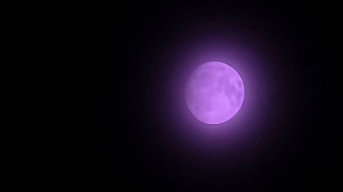 Um ui 8 beta 4 roxo lua