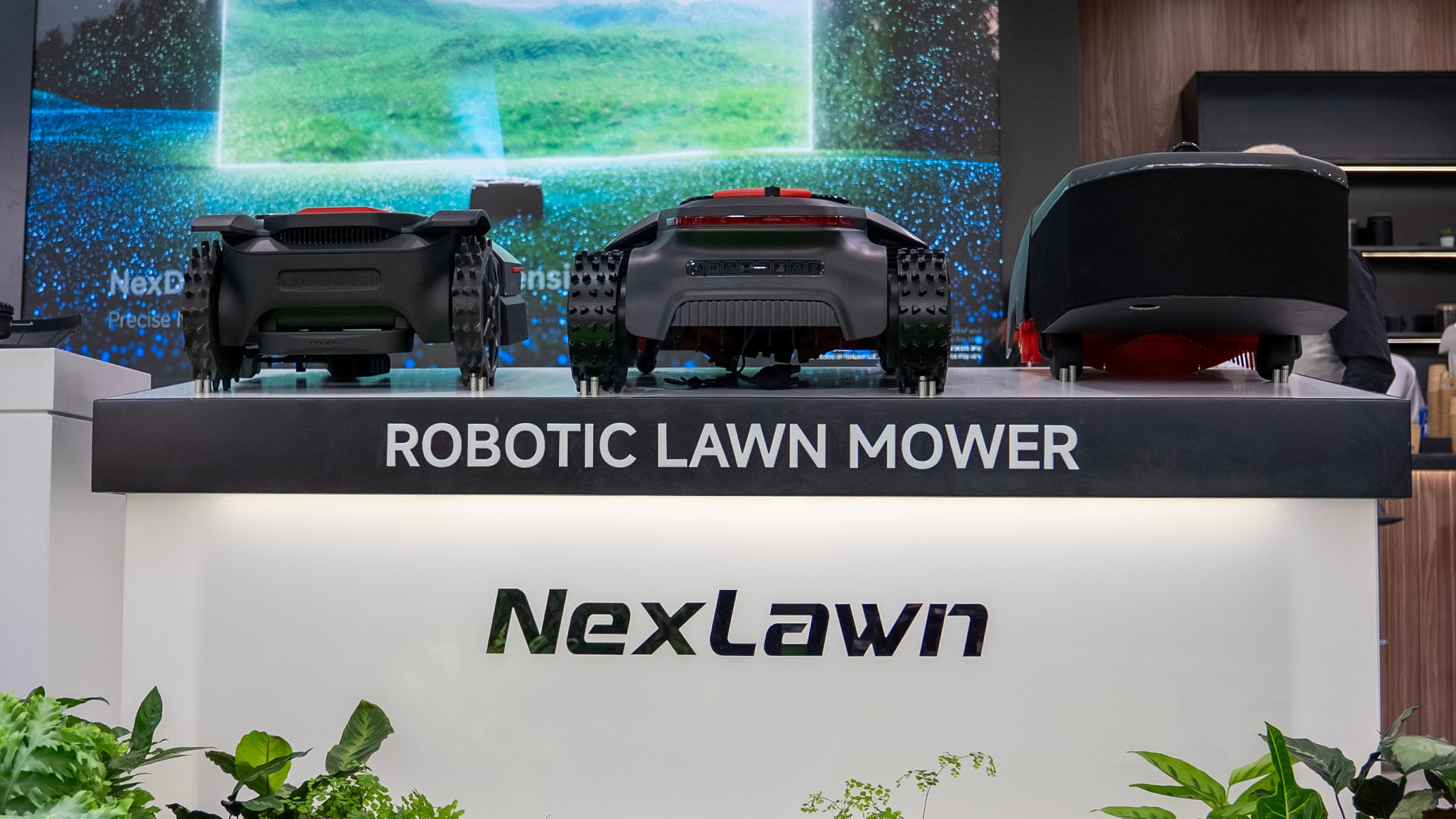 Nexlawn IFA 2025 Nexlawn IFA 2025