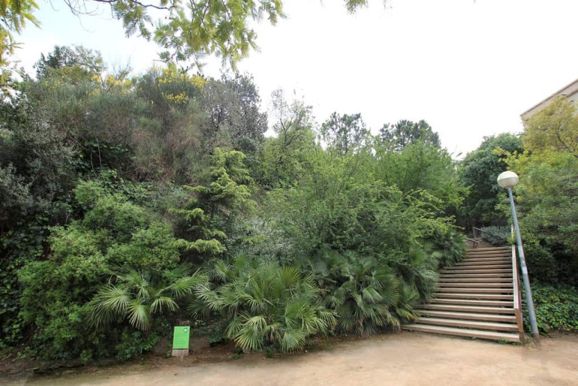 Jardins em Barcelona - Os jardins escondidos em Barcelona você deve visitar