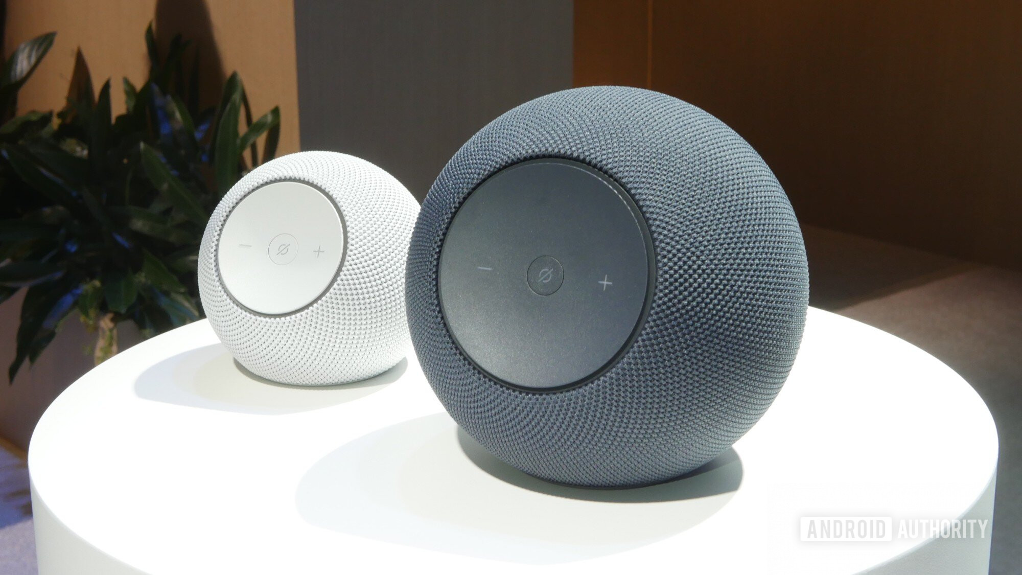 Amazon Echo Dot ambos novos