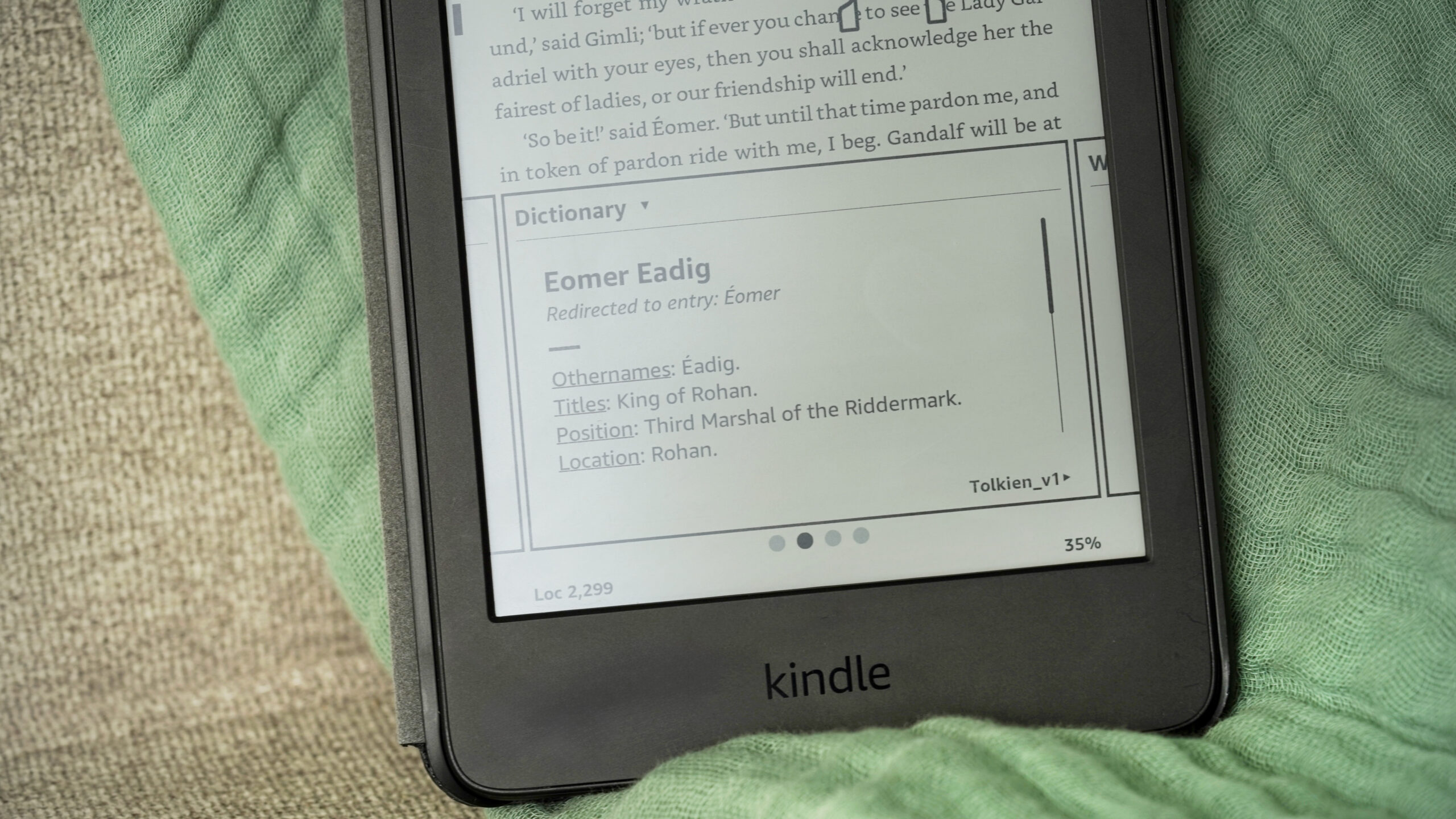Um Kindle exibe uma entrada do ficção de um usuário.
