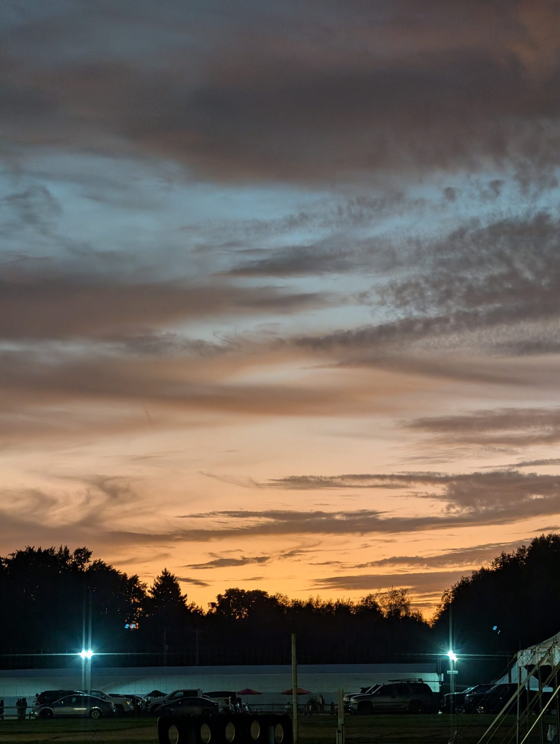 Foto de um pôr do sol e árvores, tiradas com a câmera telefoto no Pixel 10 Pro.