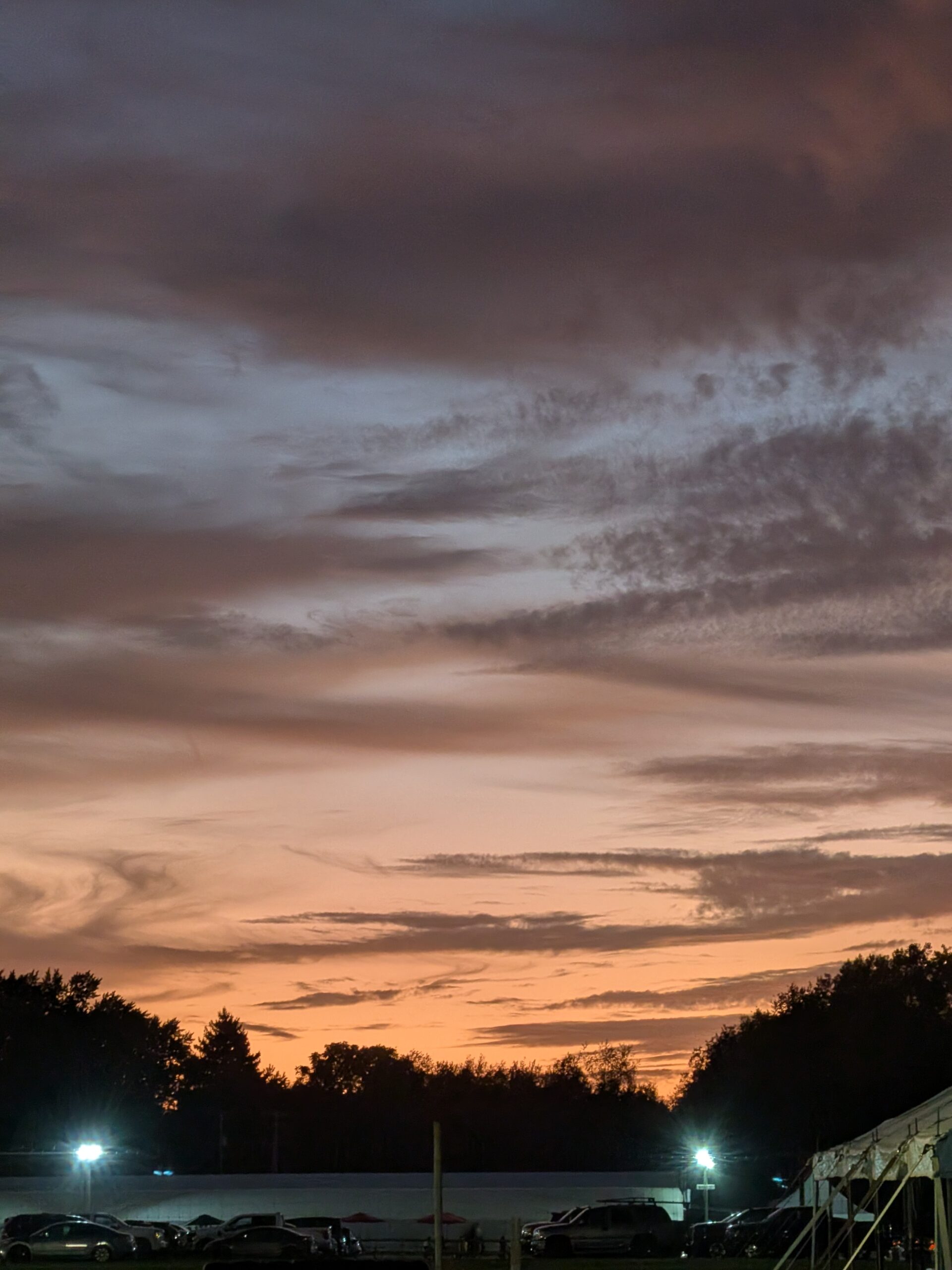 Foto de um pôr do sol e árvores, tiradas com a câmera telefoto na dobra do Pixel 10 Pro.