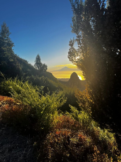 Parque Nacional Garajonay com vista para Teide e Tenerife, na Espanha.