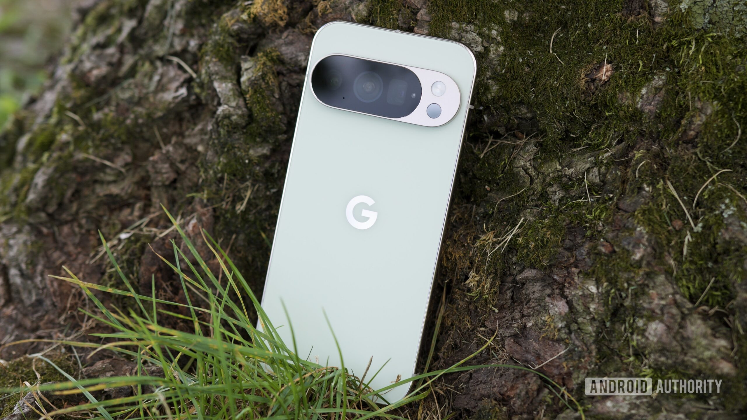 google pixel 10 pro jade volta 2 O Google Pixel 10 Pro em Jade, apoiado em uma árvore.