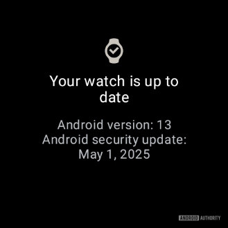 OnePlus Watch 2 executando Wear OS 4 e patch de segurança de maio de 2025