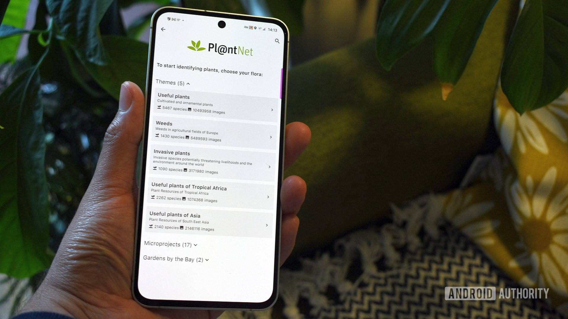 aplicativo Android plantado 1