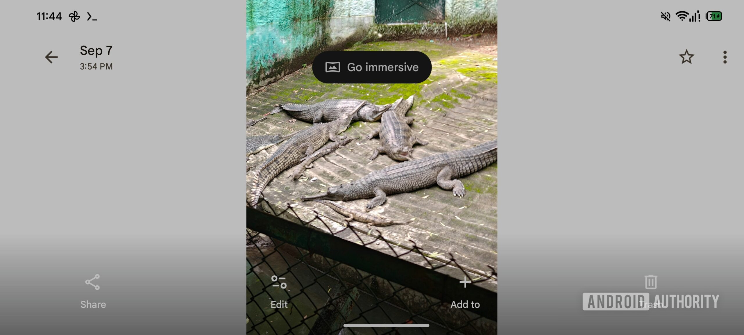 Google Fotos torna-se imersivo no Android XR