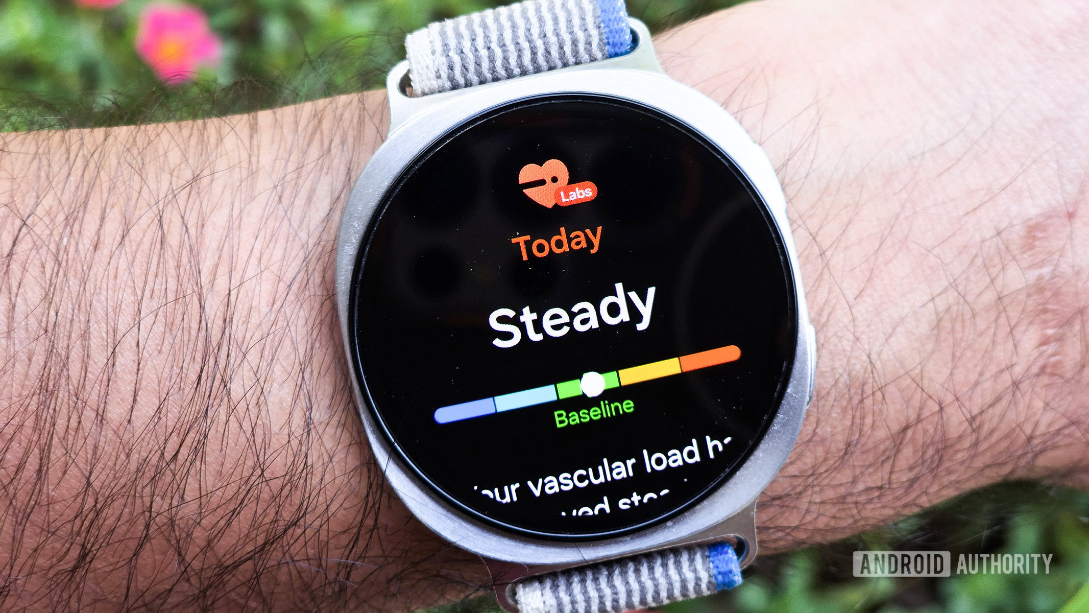 carga vascular samsung galaxy watch 8