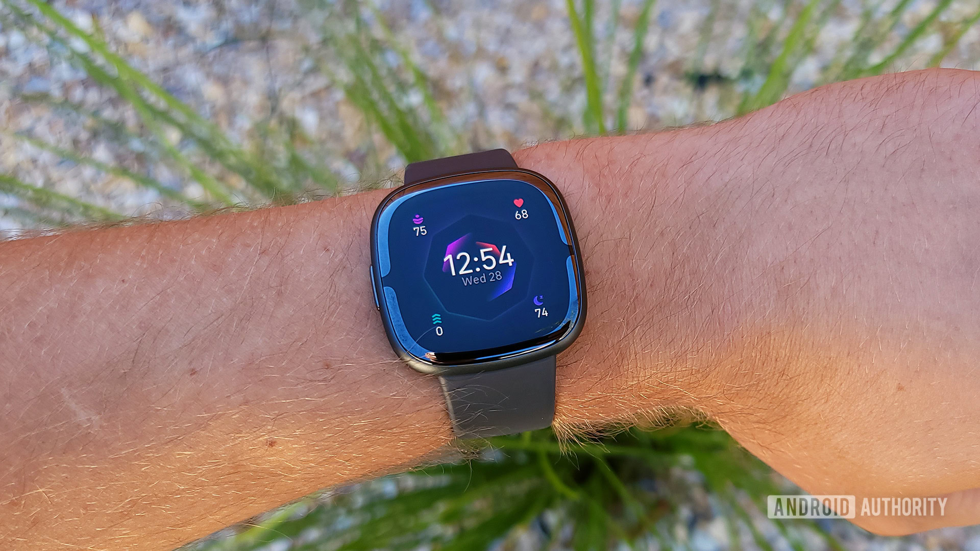 Fitbit Sense 2 Review mostrador de relógio padrão com grama no fundo Fitbit Sense 2 Review mostrador de relógio padrão com grama no fundo