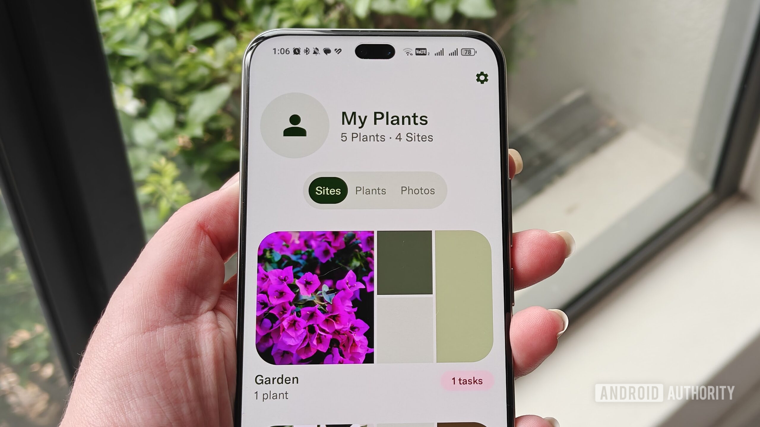 plantas no aplicativo planta plantas no aplicativo planta
