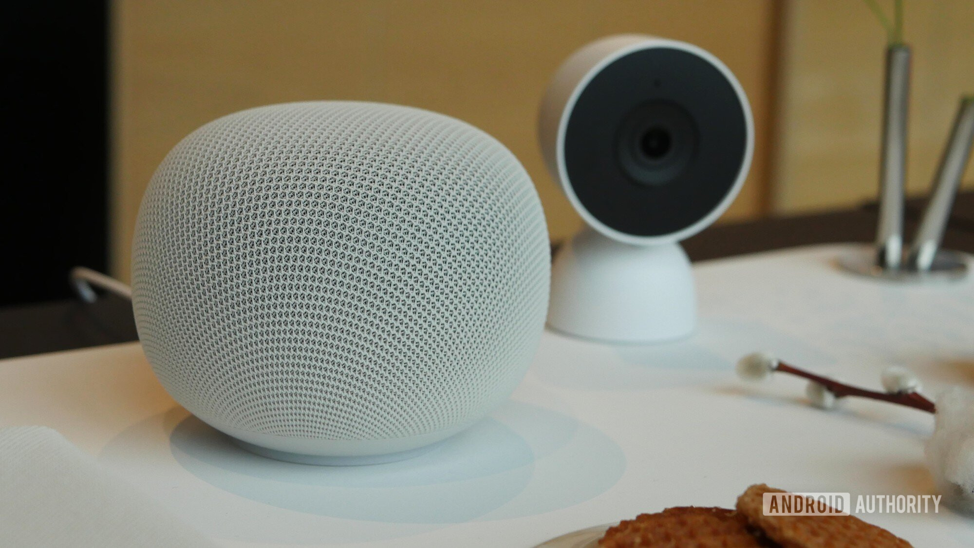 Presidente do Google Home 3
