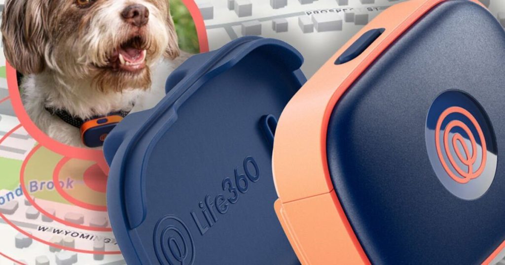 O rival Apple AirTag ajuda a encontrar seu animal de estimação perdido com tecnologia GPS
