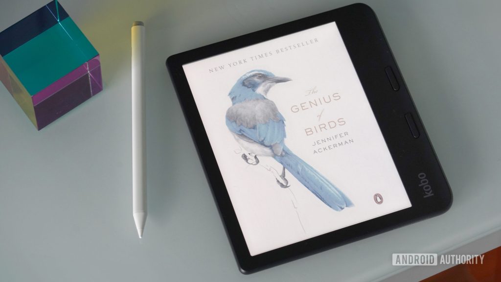 Você quer um display colorido no seu e-reader?