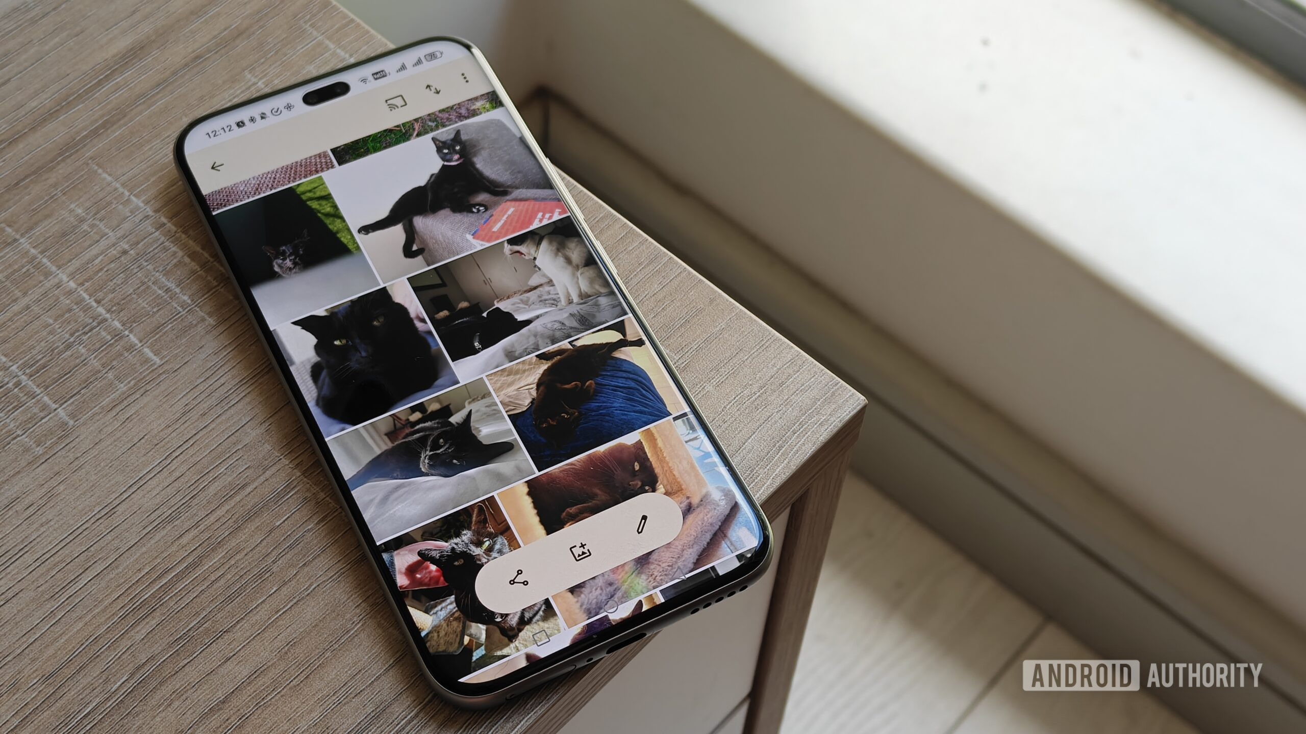 fotos de gatos em um smartphone fotos de gatos em um smartphone