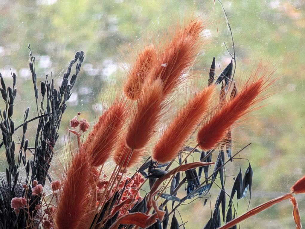Protetor de lente barato para câmera Pixel 9 Pro XL flor