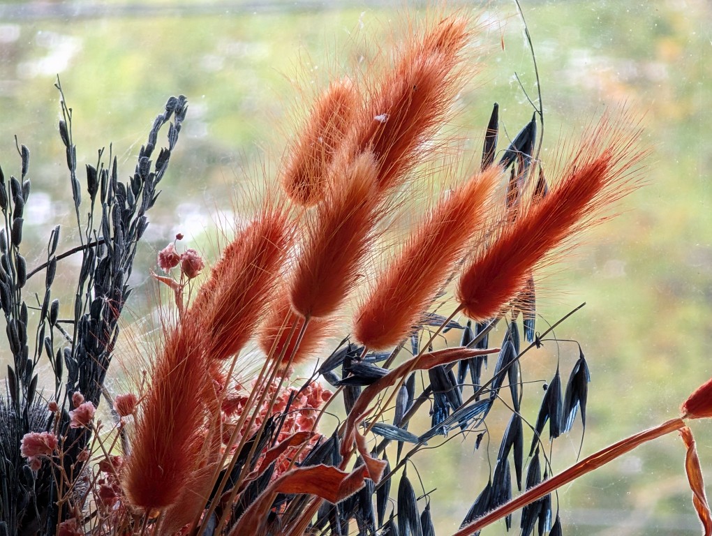 Flor de câmera Pixel 9 Pro XL sem protetor de lente