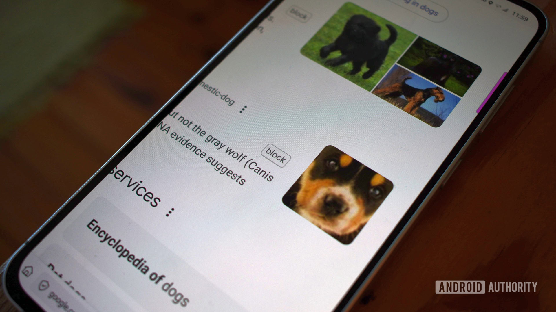 scripts de usuário violentomonkey firefox android 2 scripts de usuário violentomonkey firefox android 2