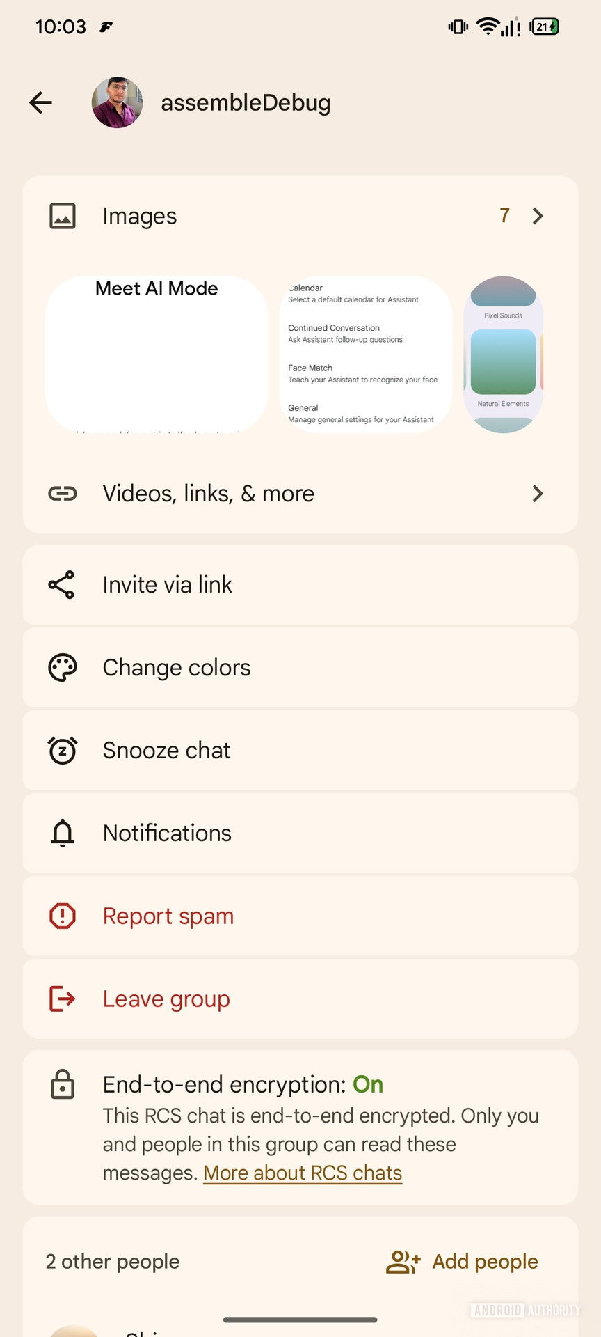 Próxima experiência do usuário do Mensagens do Google para página de detalhes do bate-papo