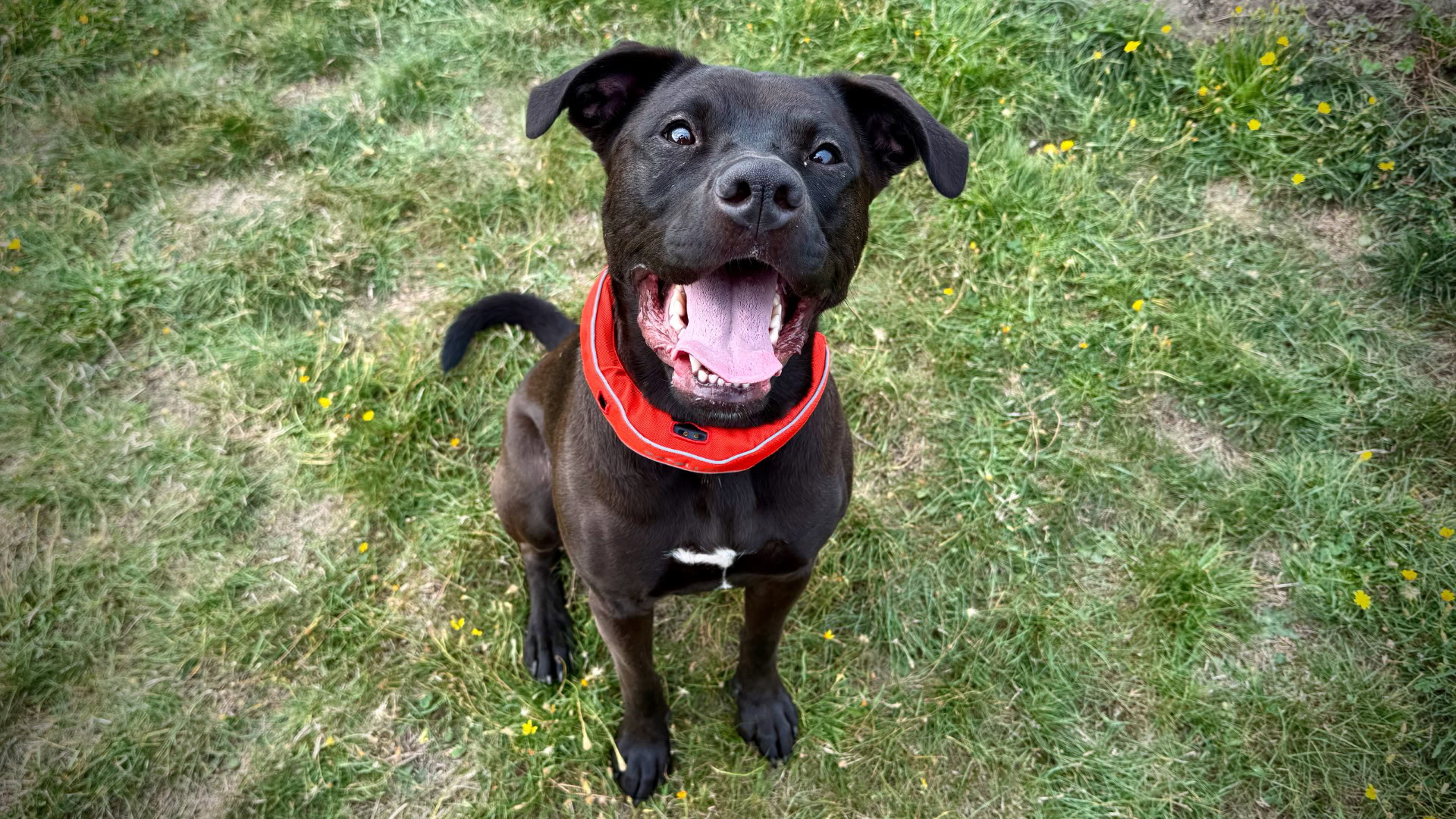 Satélite 9 Satélite 9