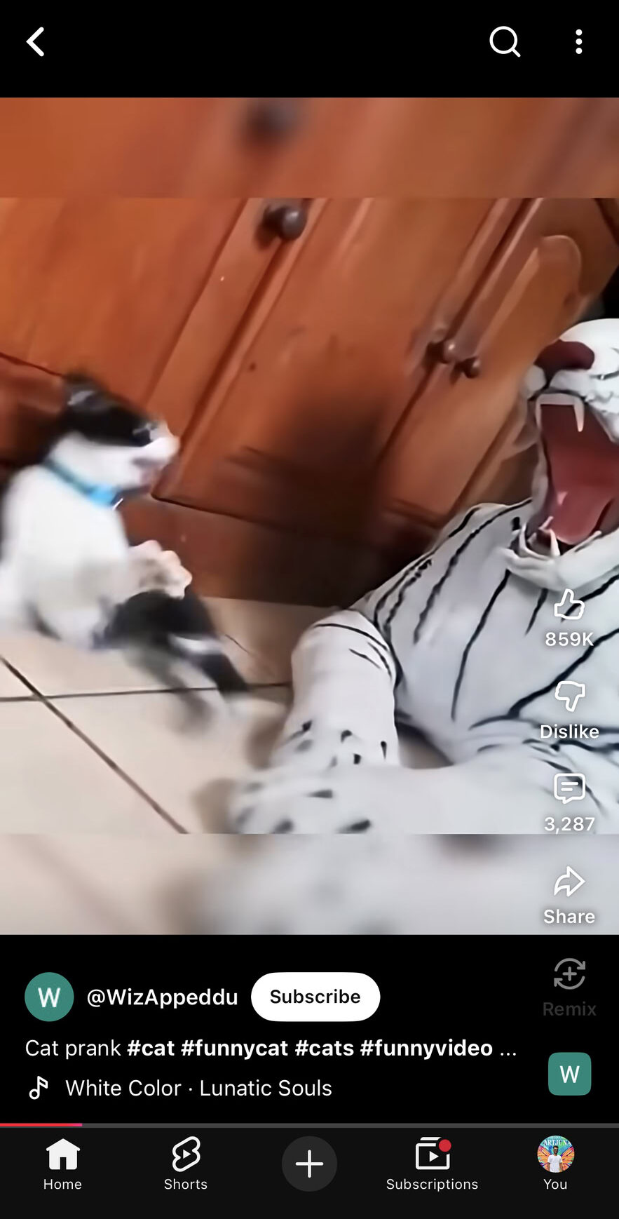 Interface do YouTube Shorts