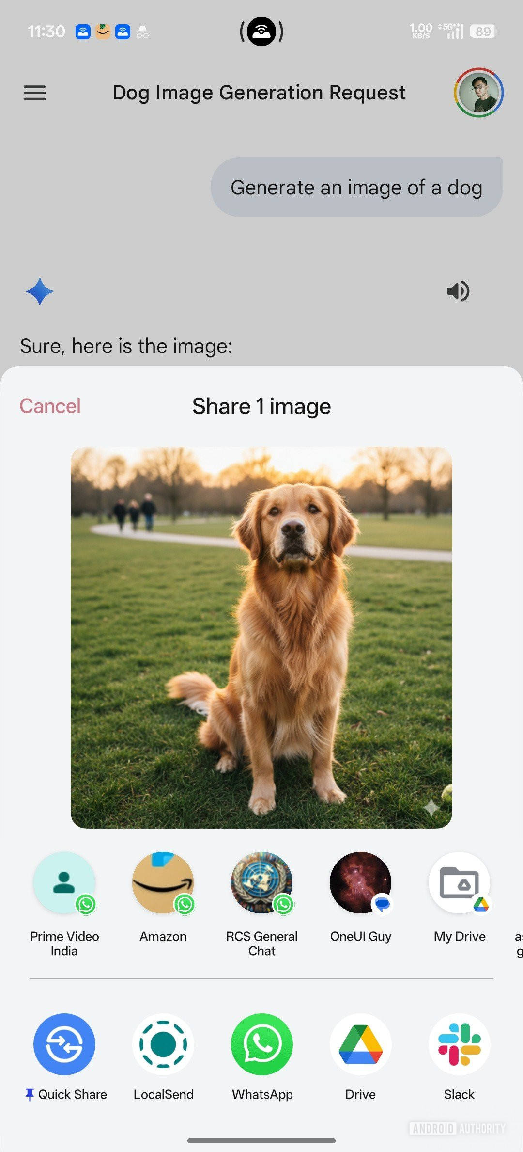 imagem de gêmeos compartilha antiga