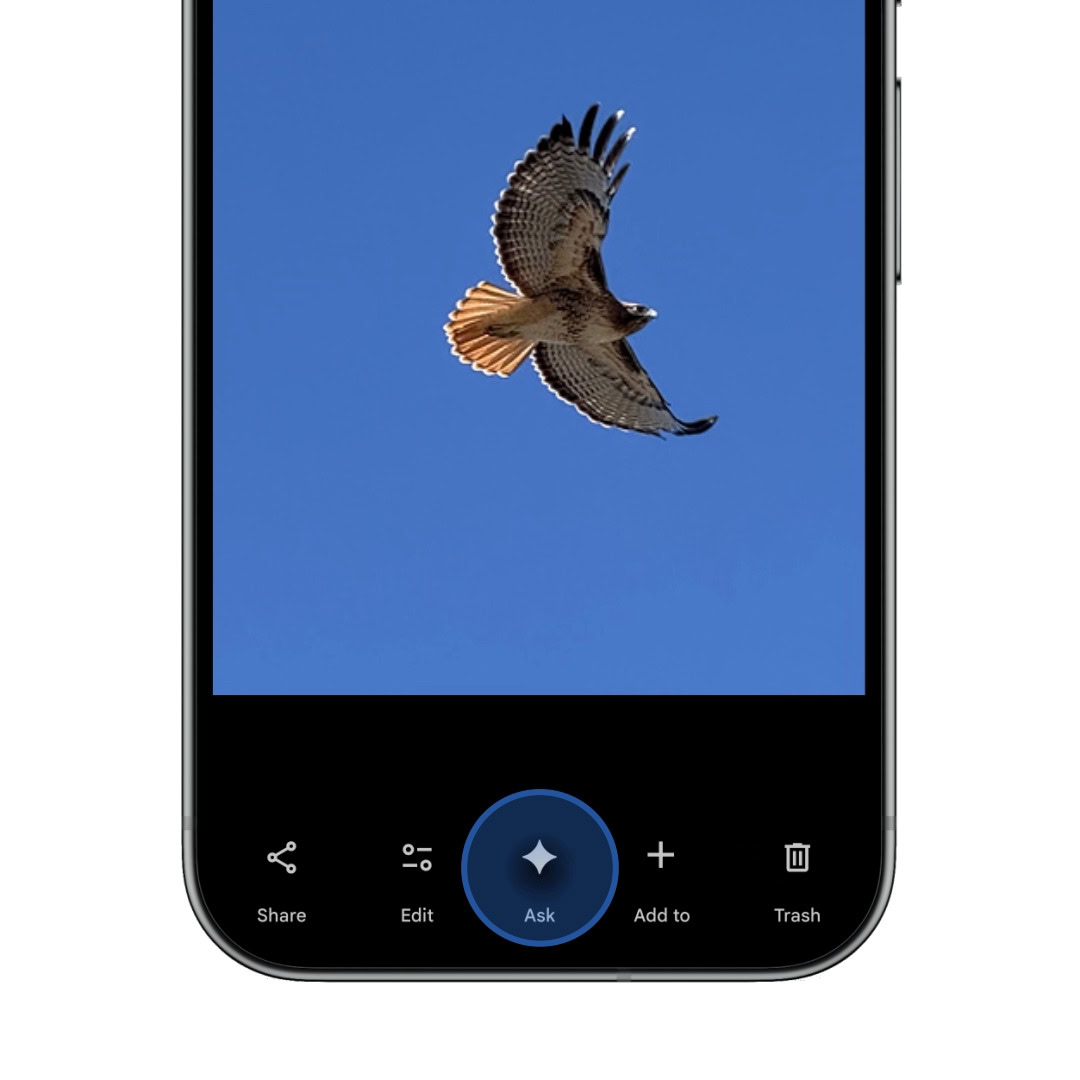 Pergunte ao Google Fotos Pergunte ao Google Fotos