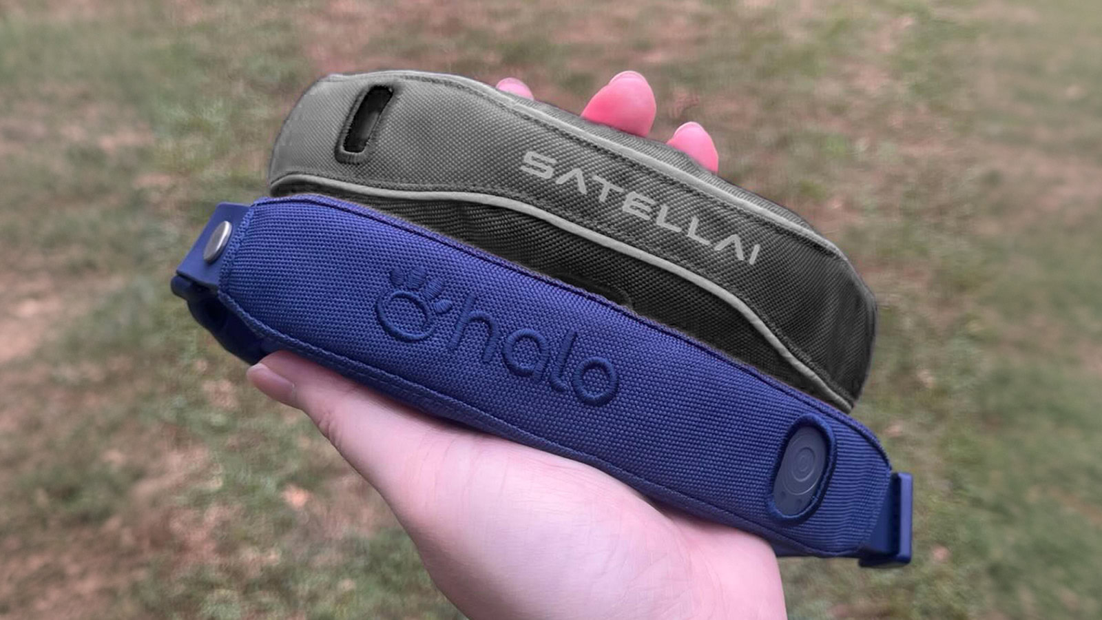 coleira satélite 3 coleira satélite 3