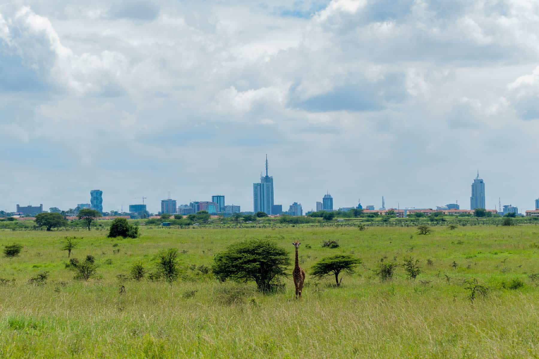 O que fazer em uma viagem de um dia em Nairobi, no Quênia