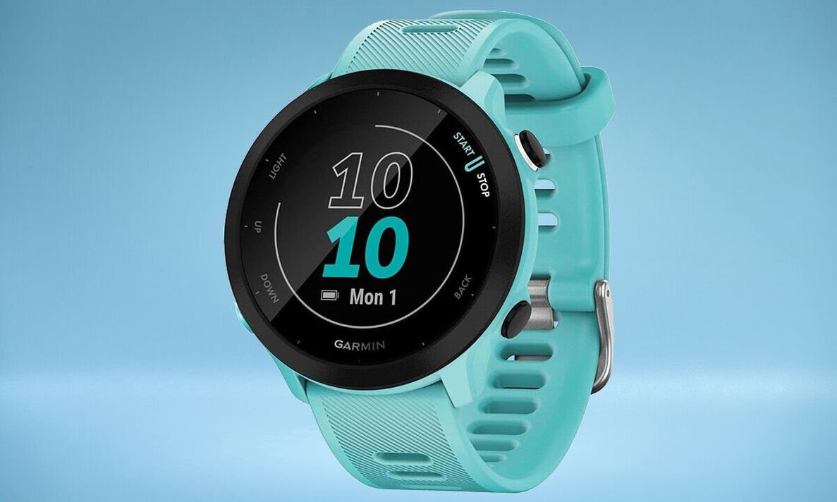 Garmin Forerunner 55 Garmin Forerunner 55