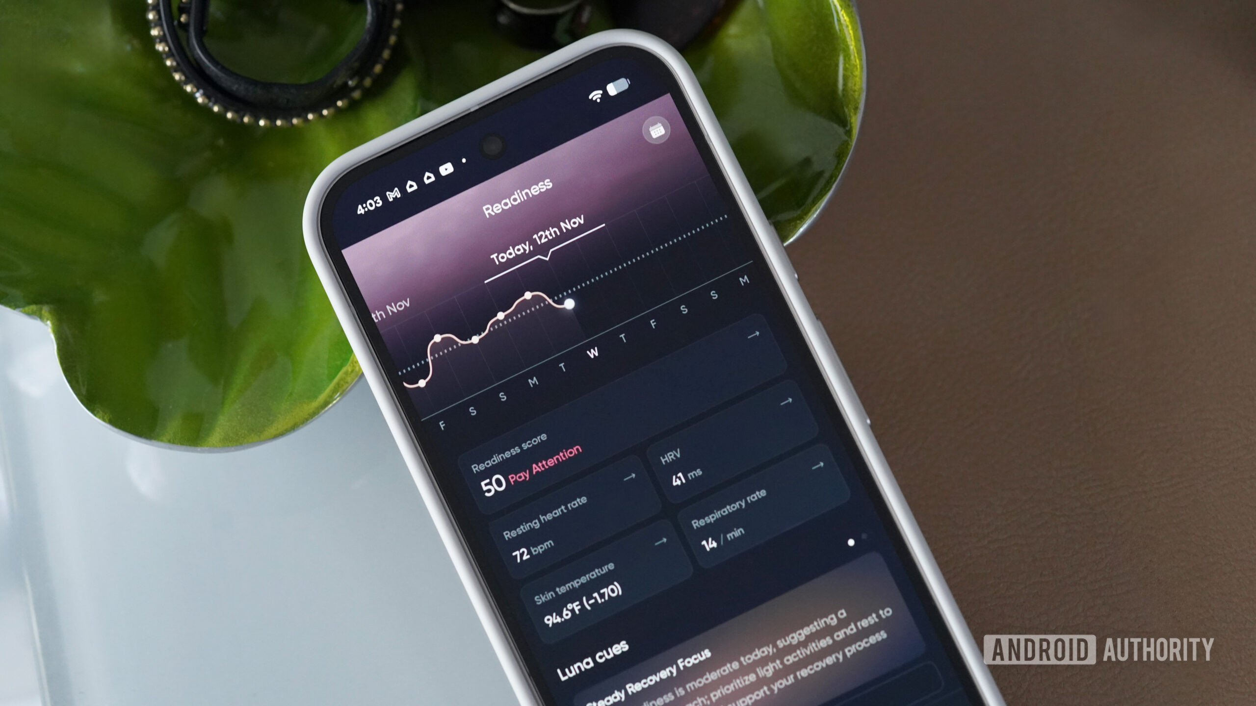 Preparação do Anel Luna 2