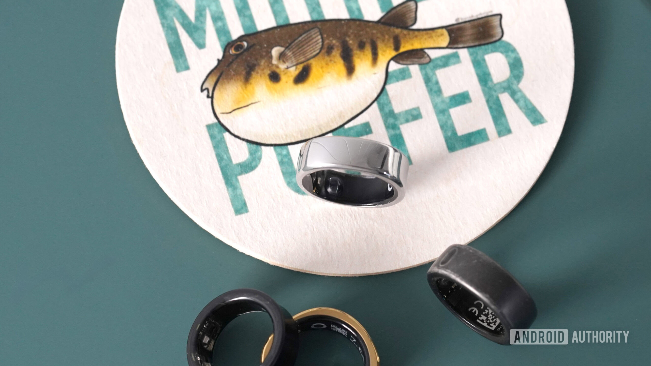 RingConn Smart Ring Gen 2 alternativas 2 Um RingConn Smart Ring Gen 2 está entre os anéis inteligentes alternativos.