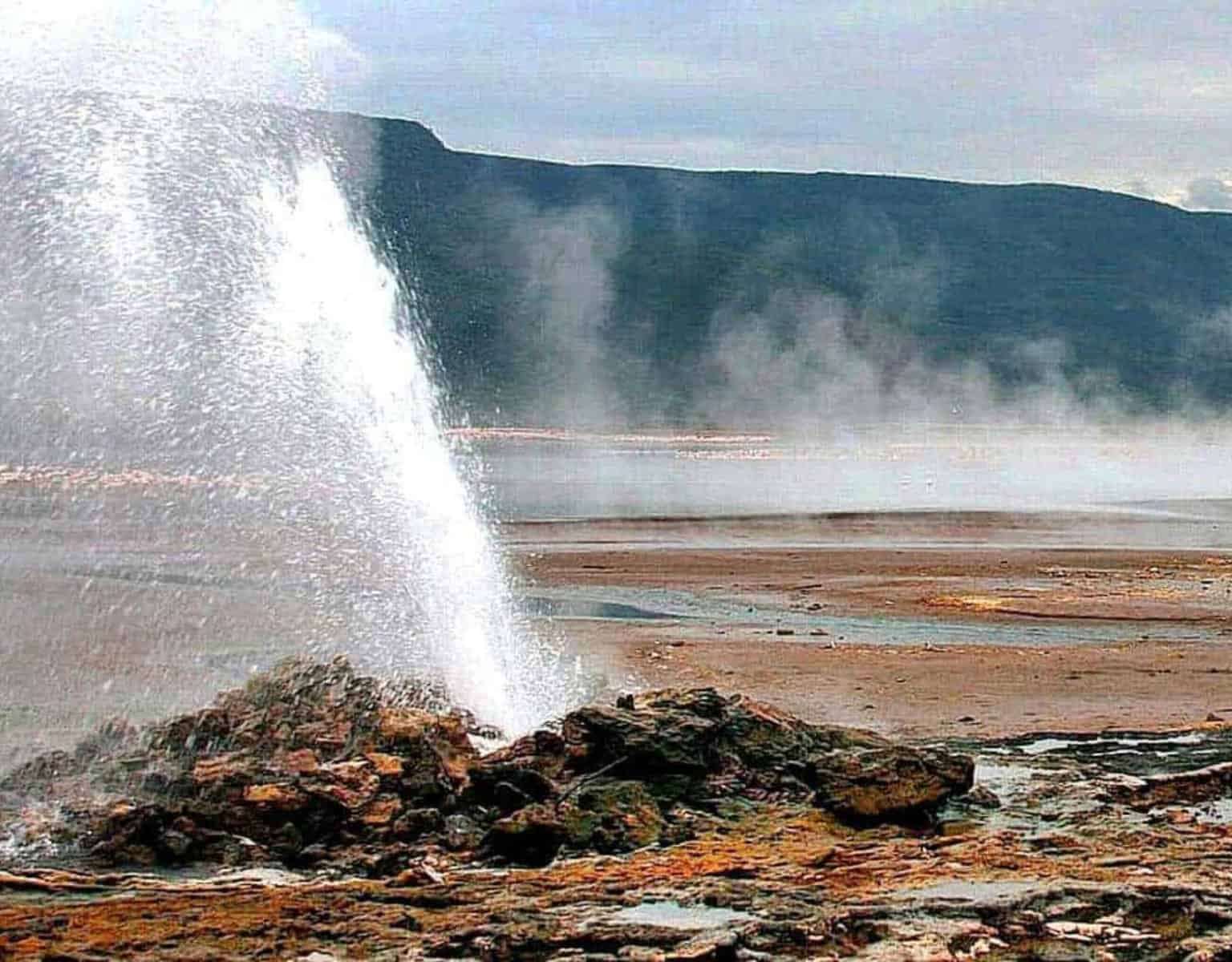 lago bogoria - Como conhecer as fontes termais e flamingos do lago Bogoria Lago Baringo no Quênia